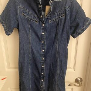 Levi’s Denim Button-Up Dress